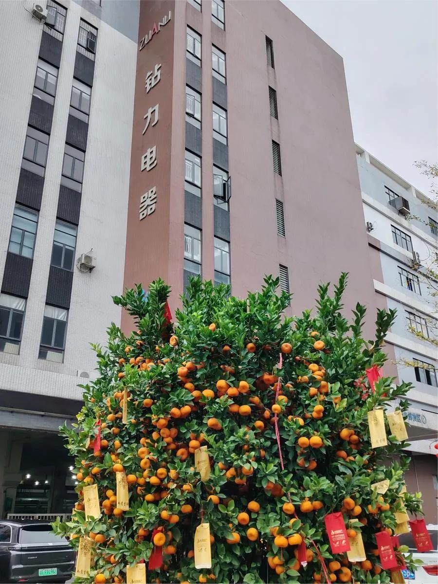Zuanli RO Pump